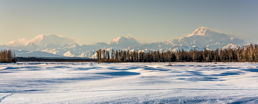 Winter Denali Photograph by Andrew Matwijec