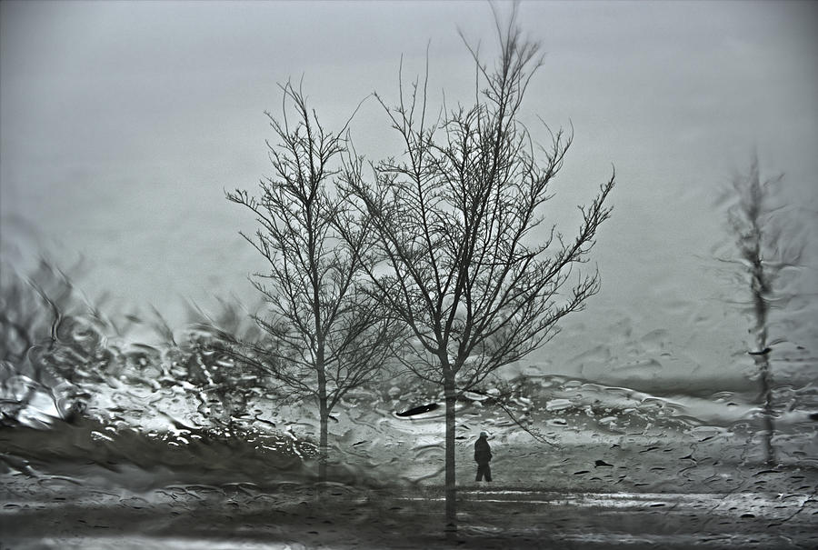 Winter Dismisses You Photograph by Kevin Eatinger