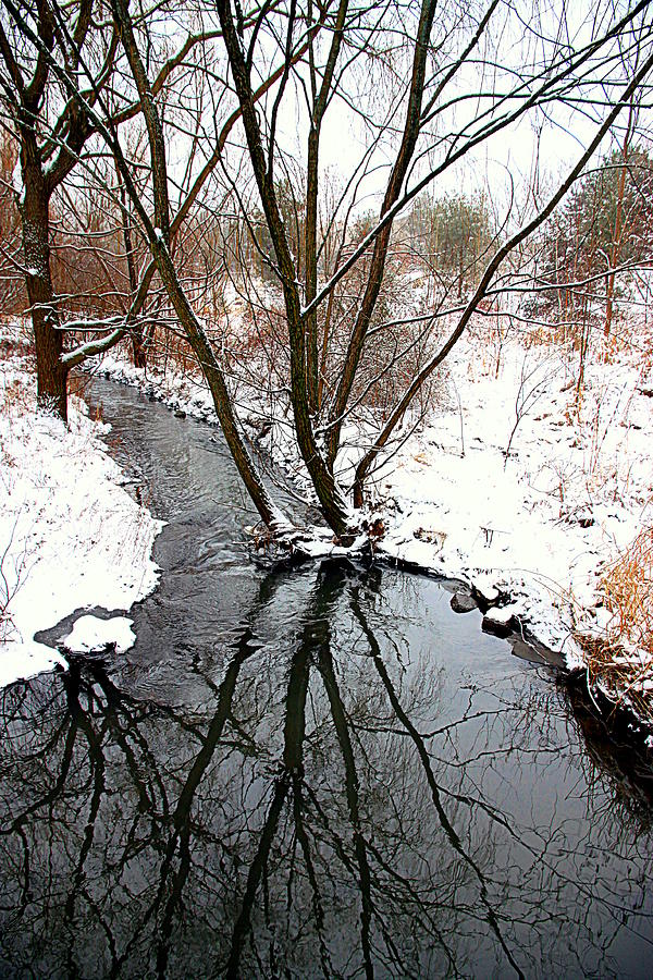 Winter Ditch Photograph by Valentino Visentini