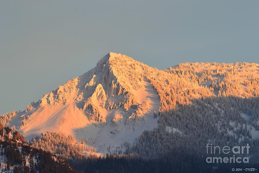 Winter by Dorrene BrownButterfield Winter by Dorrene BrownButterfield