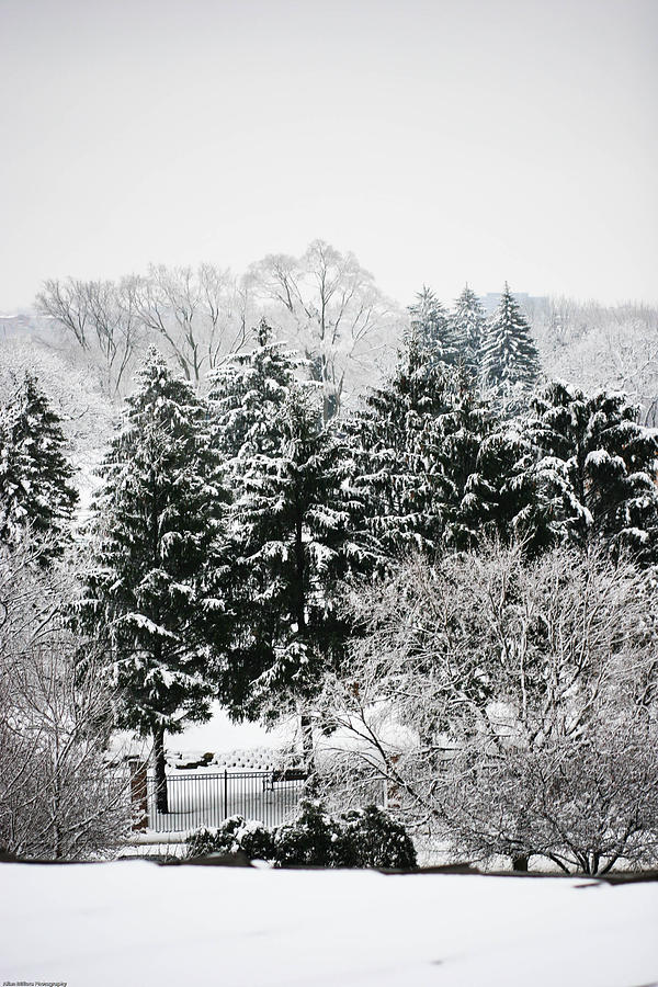 Winter Photograph - Winter Dream by Allan Millora