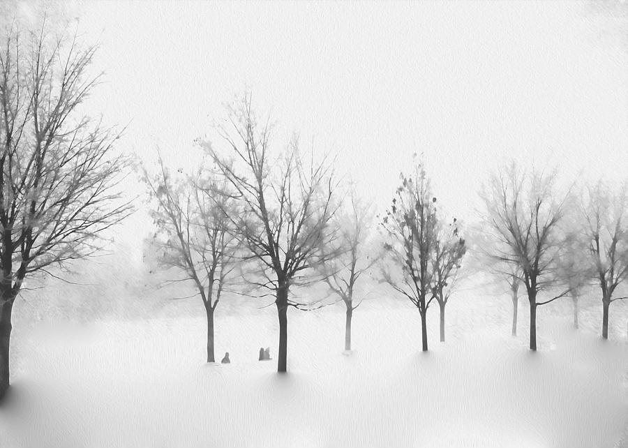 Winter Dream Photograph by Kathy Bassett