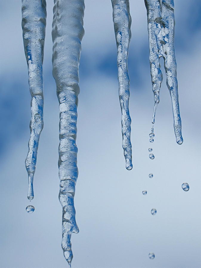 Winter Drips Away Photograph by Rita Mueller