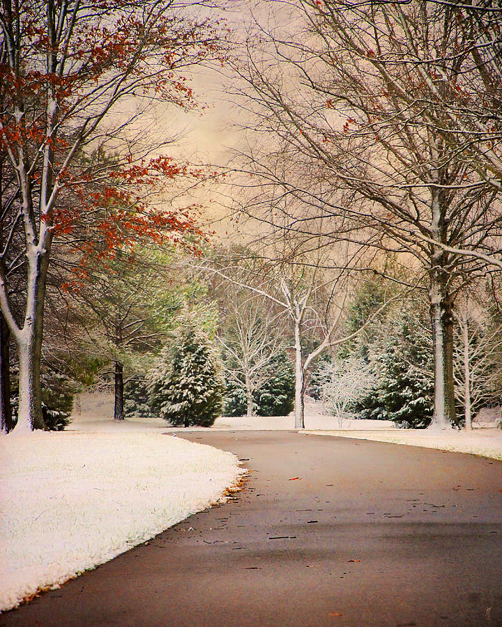 Winter Photograph - Winter Drive by Jai Johnson