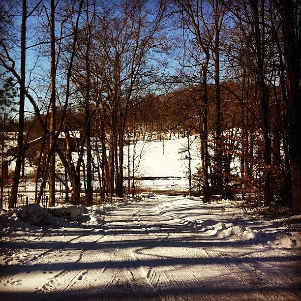 Winter Driveway Photograph by Alyssa Pearson