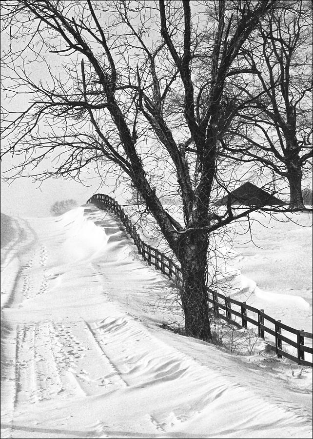 Winter Driveway Photograph by Wendell Thompson