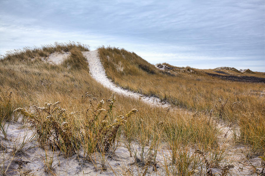 Winter Dune Photograph by Steve Gravano
