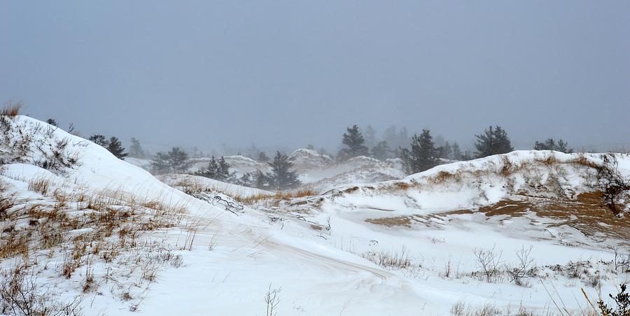 Winter Dunes Photograph by Linda Kerkau