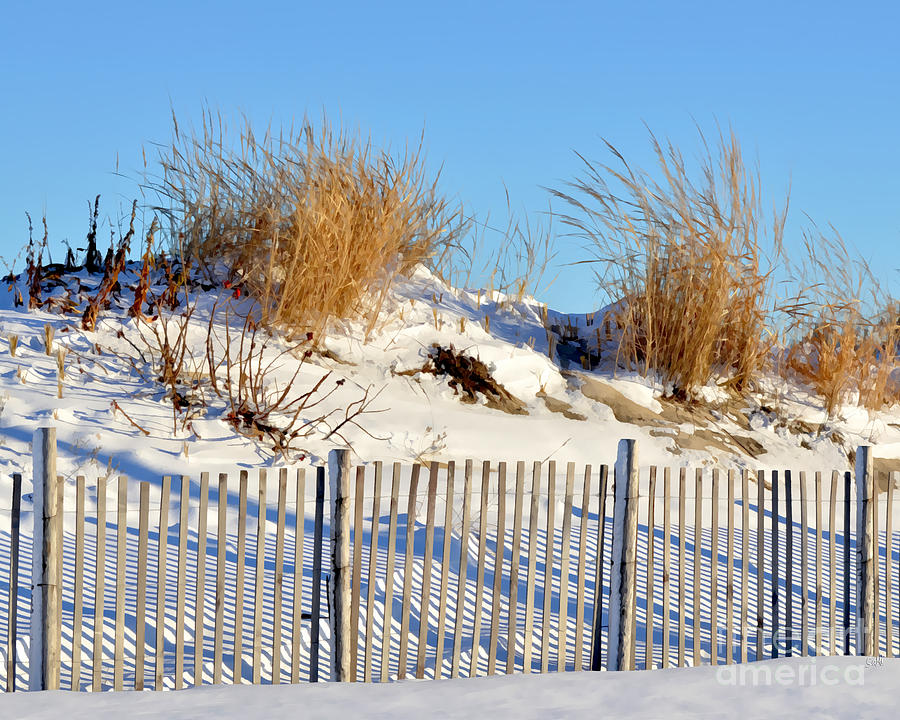 Winter dunes Photograph by Sami Martin