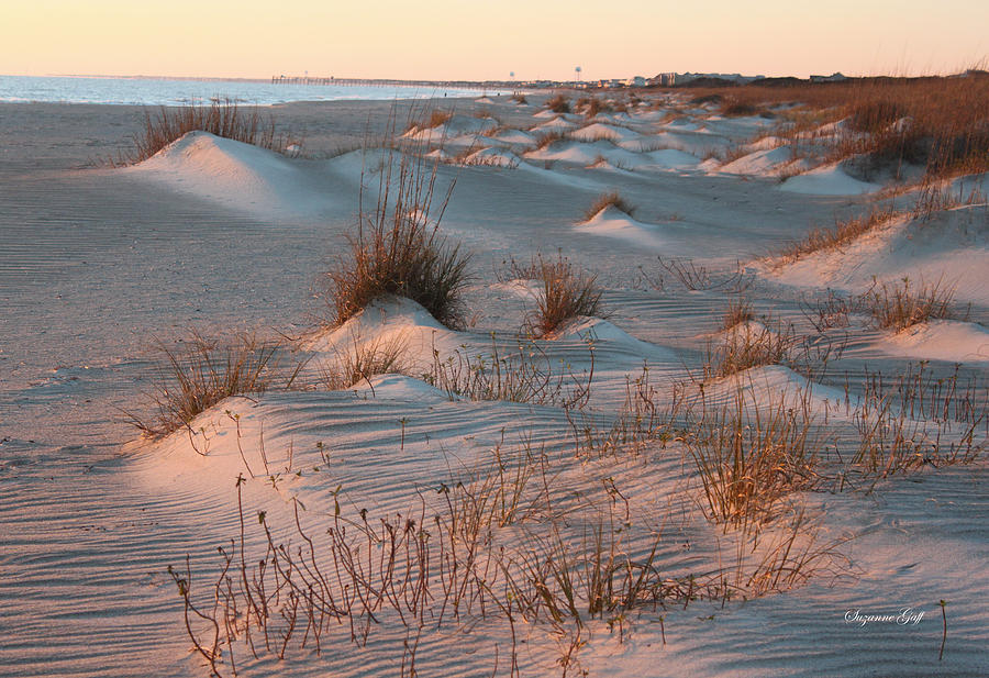 Nature Photograph - Winter Dunes by Suzanne Gaff