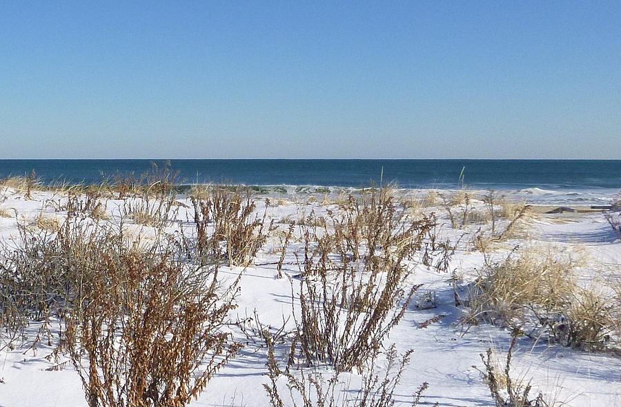 Winter Dunes with Waves Photograph by Ellen Paull