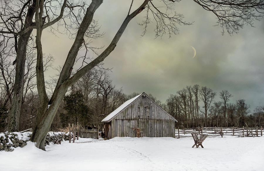 Winter Dusk Photograph by Robin-Lee Vieira