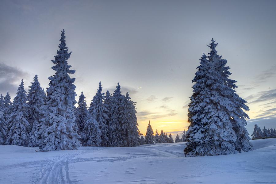 Winter evening Photograph by Ivan Slosar