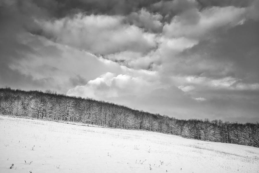 Winter Expanse Photograph by Chris Bordeleau