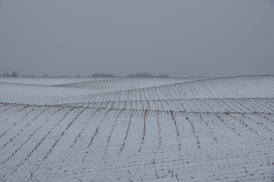 Winter Farm Fields - Rolling Hills on a Bleak Snowy Day Photograph by Georgia Mizuleva