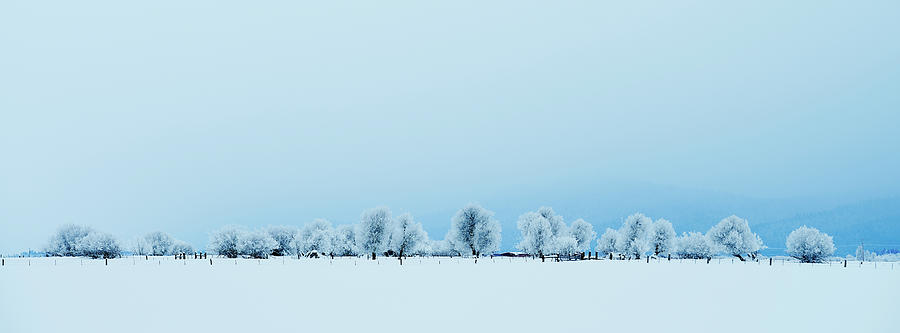 Winter Farm Photograph by Henry@scenicfoto.com
