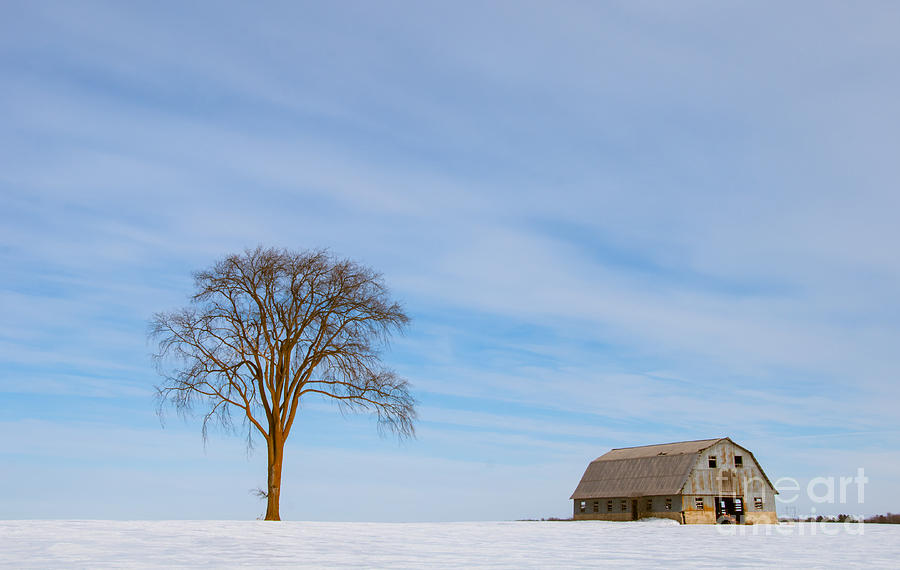 Winter Farm Landscape Photograph by Cheryl Baxter