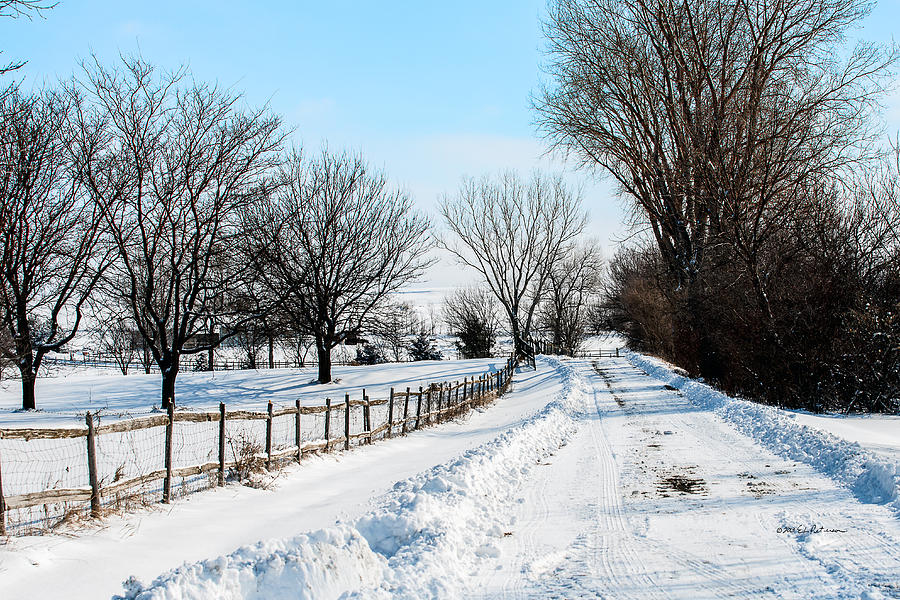 Winter Farm Lane Photograph by Ed Peterson