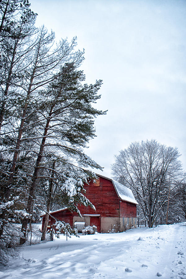 Winter Farm Photograph by Lauri Novak