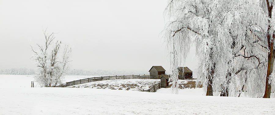 Winter Farm Photograph by Mary Jo Allen