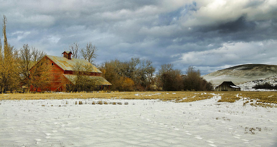 Winter Farm Photograph by Steve McKinzie