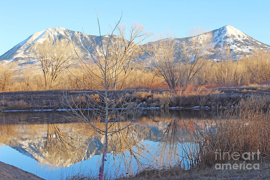 Winter Photograph - Winter Feb 2015 Colorado by Dale Jackson