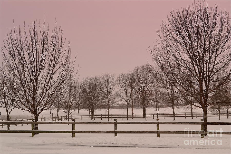 Winter Fence and Trees Photograph by Amy Lucid