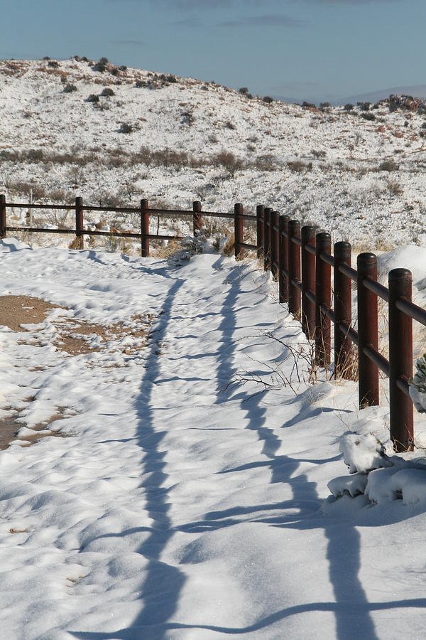 Winter Fence Photograph by David S Reynolds