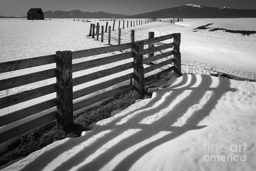 Architecture Photograph - Winter Fence by Inge Johnsson