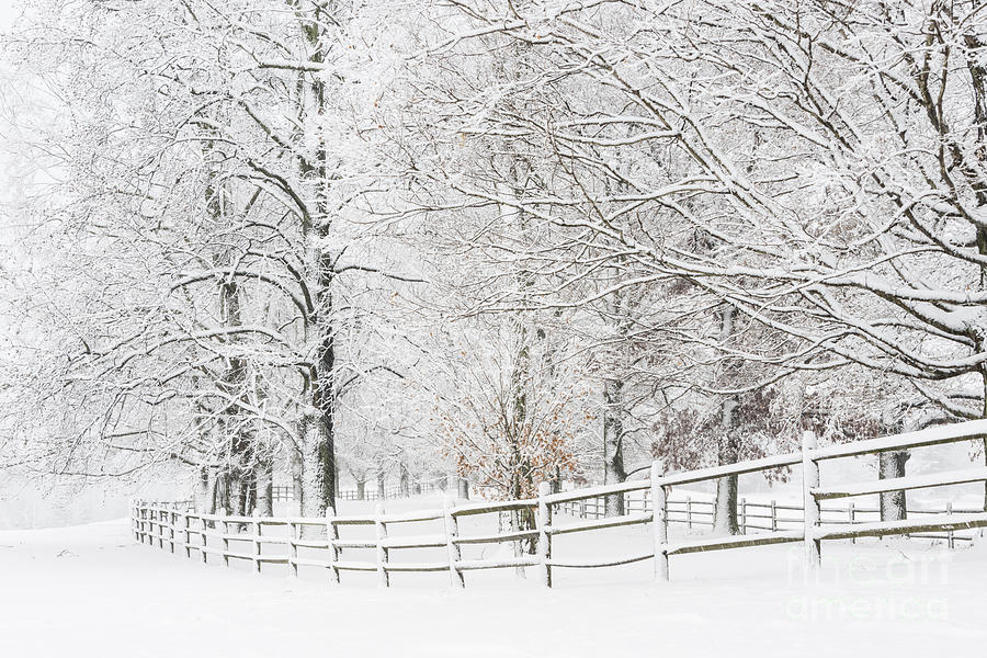 Winter Fence Photograph by Oscar Gutierrez