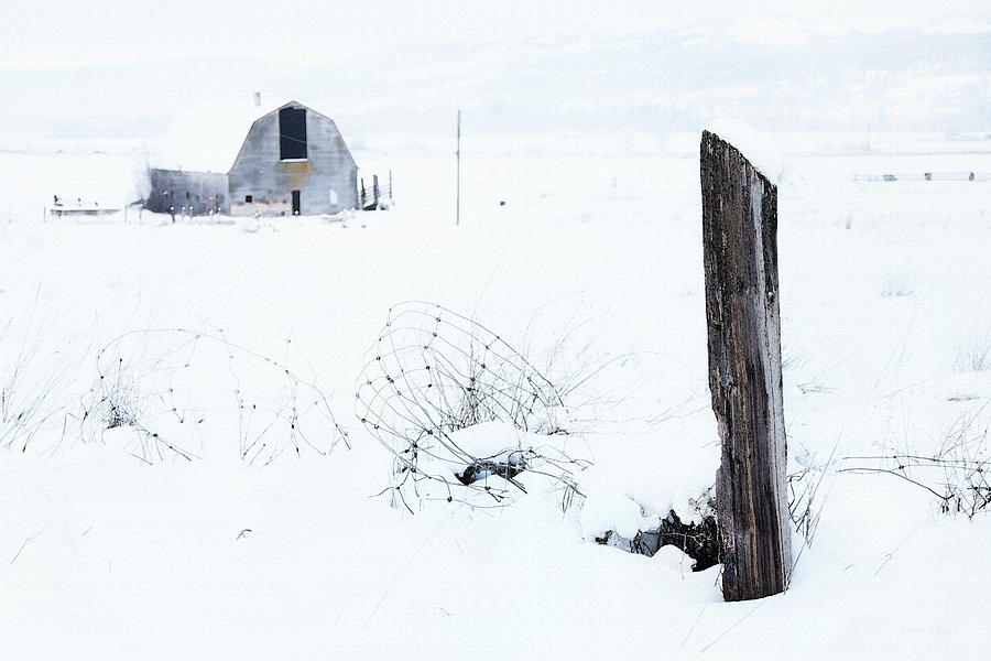 Winter Fence With Barn Photograph by Theresa Tahara