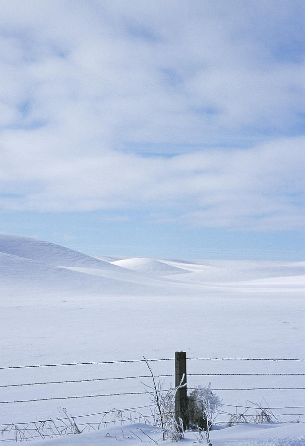 Winter Fenceline Photograph by Doug Davidson