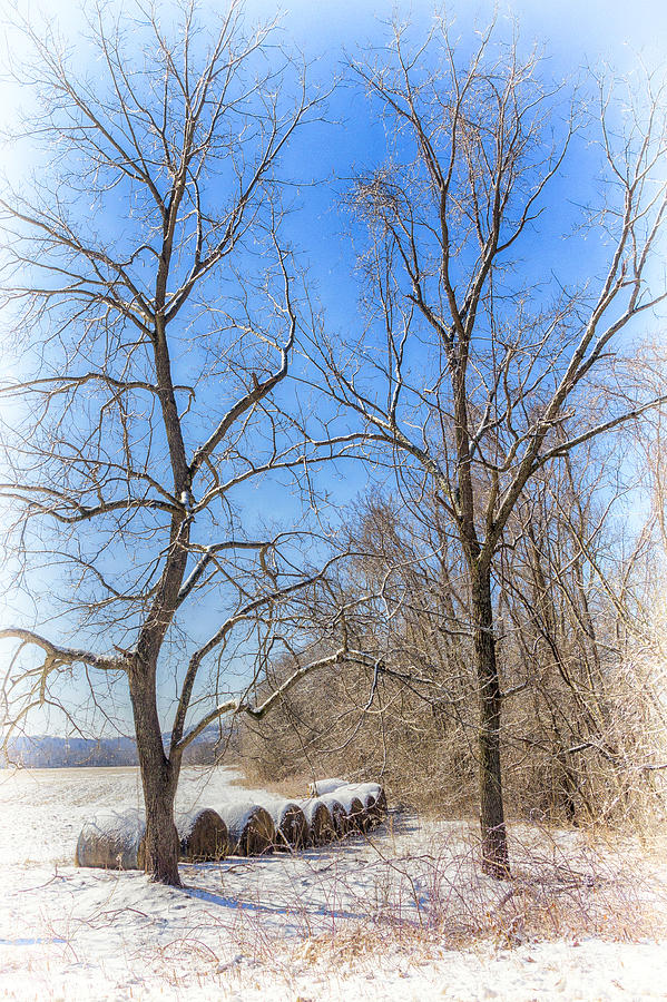 Winter Field Photograph by Alan Raasch