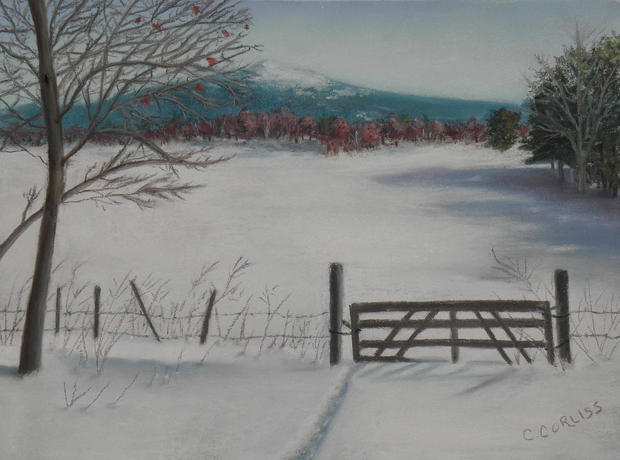 Winter Field Pastel by Carol Corliss