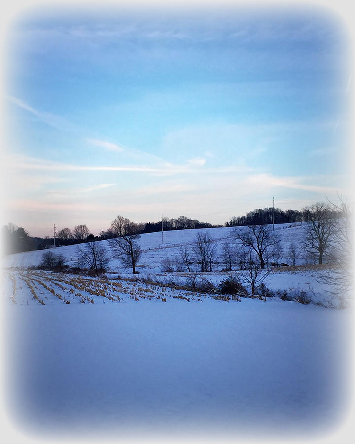 Winter Photograph - Winter Field by Chanda Yoder