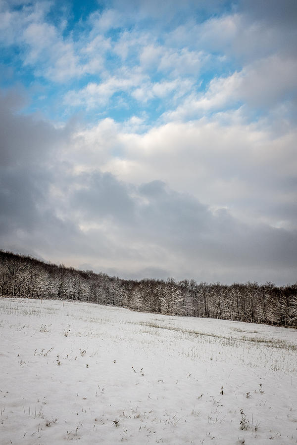 Winter field Photograph by Chris Bordeleau