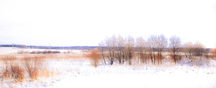 Winter Photograph - Winter Fields. In Color by Jenny Rainbow