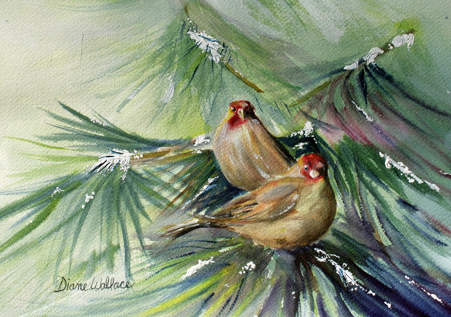 Bird Painting - Winter Finches by Diane Wallace