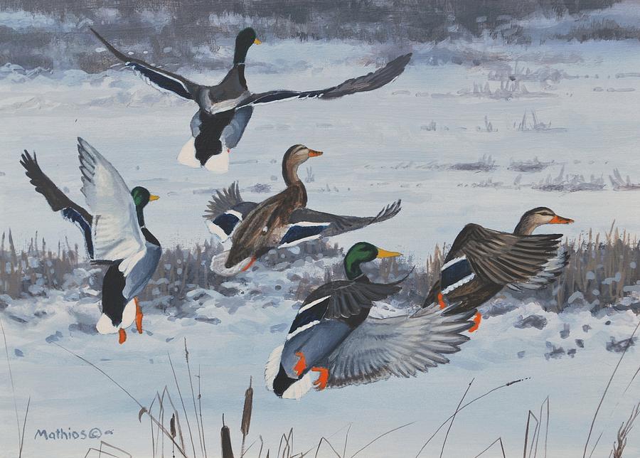 Duck Painting - Winter Flurry by Peter Mathios