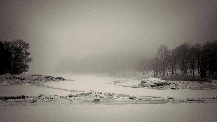 Winter Fog Photograph by Stoney Stone