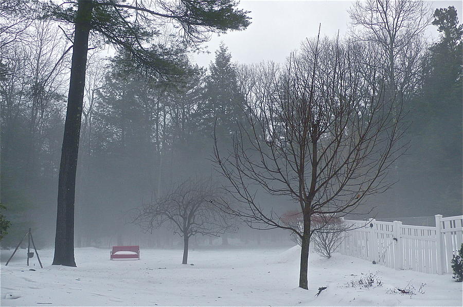 Winter Fog in Sparrow Bush NY Photograph by Anna Ruzsan
