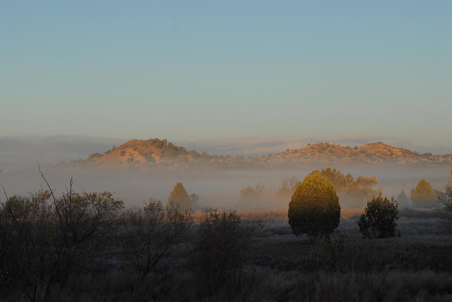 Landscape Photograph - Winter Fog by Kasie Morgan