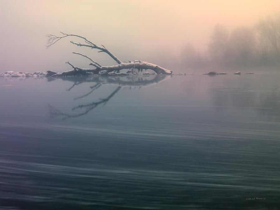 Winter Fog Photograph by Leland D Howard