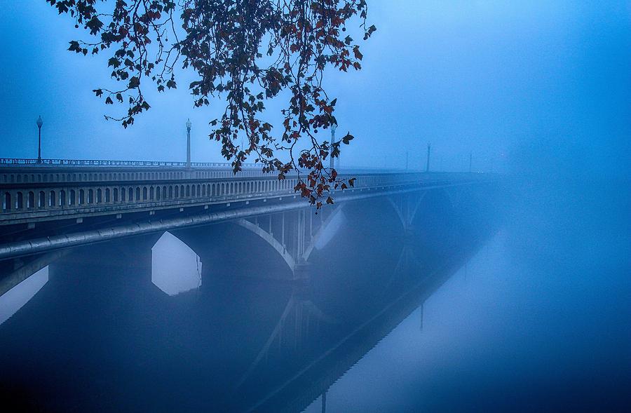 Winter fog Photograph by Lynn Hopwood