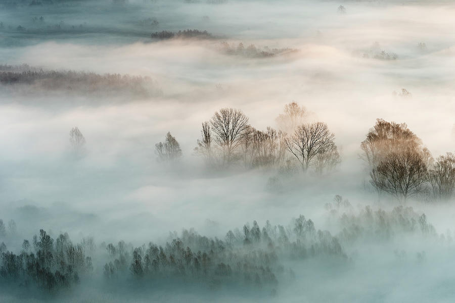 Winter Fog Photograph by Marco Galimberti
