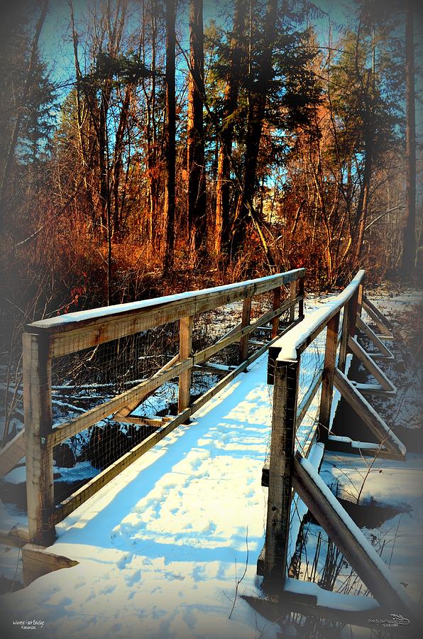 Tree Photograph - Winter Foot Bridge - Naramata BC 02-28-2014 by Guy Hoffman