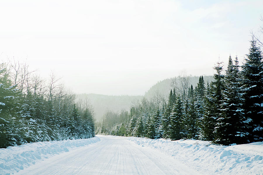 Winter Forest Scenery Photograph by Isabelle Lafrance Photography