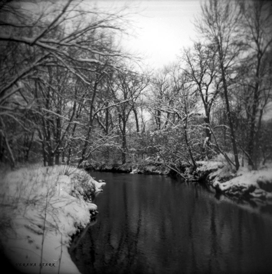 Winter Forest Series 9 Holga Photography Photograph by Verana Stark