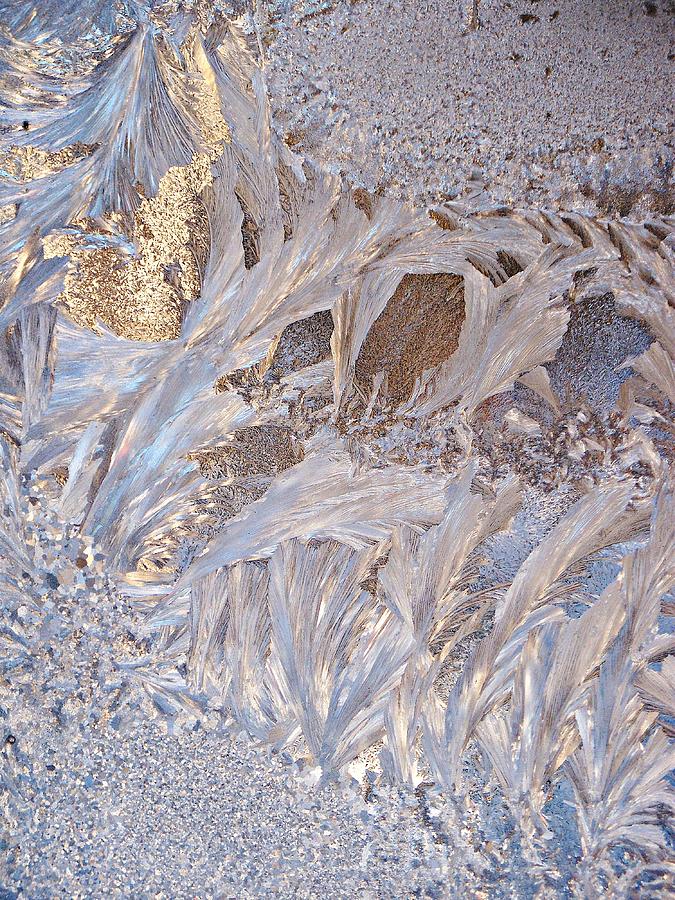 Winter Frost Tapestry Photograph by Joy Nichols