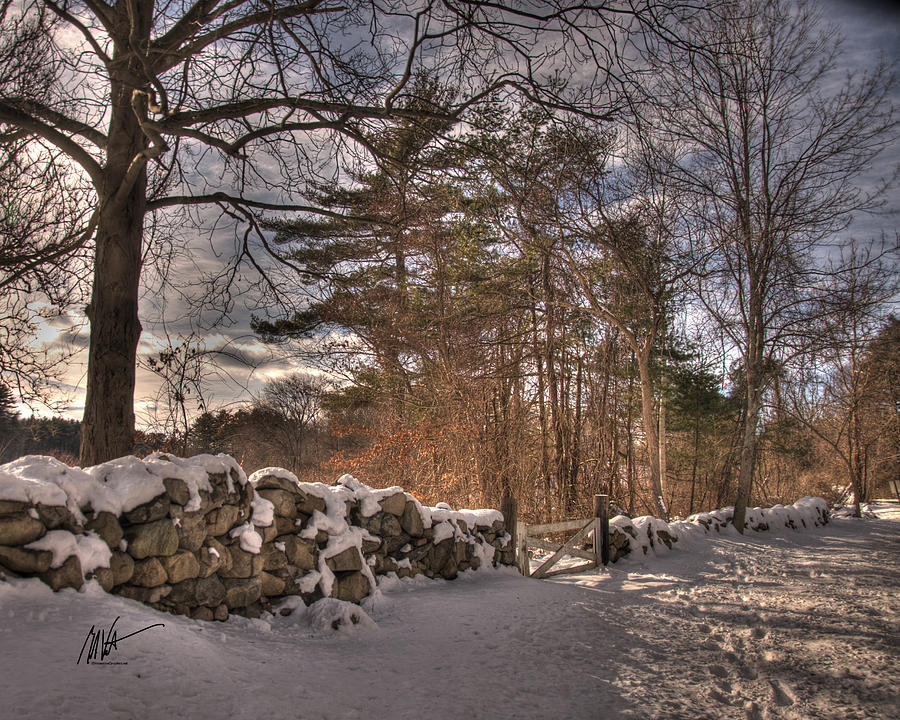 Winter Gate and Stone Wall Photograph by Mark Valentine